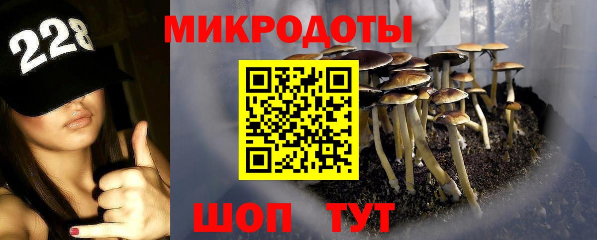 Нововоронеж  Псилоцибиновые грибы Psilocybine cubensis  Вход с VPN 